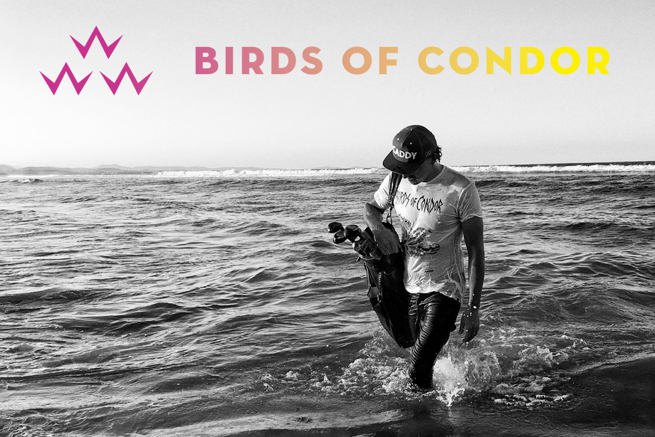 BIRDS OF CONDOR